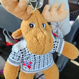 nordkap rundreise 2025_79